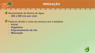 25
Necessidade de lâmina de água
- 300 a 500 mm por ciclo
Pode-se dividir o ciclo da cenoura em 4 estádios
- Inicial
- Vegetativo
- Engrossamento da raiz
- Maturação
IRRIGAÇÃO
 