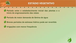 27
Período entre o estabelecimento inicial das plantas e o
inicio do engrossamento das raízes
Período de maior demanda de lâmina de água
Breves períodos de estresse hídrico pode ser revertido
Irrigações com menor frequência
ESTÁDIO VEGETATIVO
 