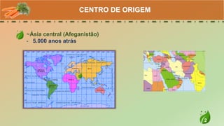 2
~Ásia central (Afeganistão)
- 5.000 anos atrás
CENTRO DE ORIGEM
 