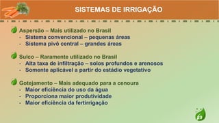 29
Aspersão – Mais utilizado no Brasil
- Sistema convencional – pequenas áreas
- Sistema pivô central – grandes áreas
Sulco – Raramente utilizado no Brasil
- Alta taxa de infiltração – solos profundos e arenosos
- Somente aplicável a partir do estádio vegetativo
Gotejamento – Mais adequado para a cenoura
- Maior eficiência do uso da água
- Proporciona maior produtividade
- Maior eficiência da fertirrigação
SISTEMAS DE IRRIGAÇÃO
 