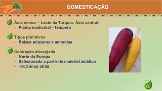 3
Ásia menor – Leste da Turquia; Ásia central.
- Planta medicinal - Tempero
Tipos primitivos
- Raízes púrpuras e amarelas
Coloração alaranjada
- Norte da Europa
- Selecionada a partir de material asiático
- ~500 anos atrás
DOMESTICAÇÃO
 