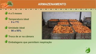 41
4 a 5 meses
Temperatura ideal
- 0 a 1ºC
Umidade ideal
- 90 a 95%
Troca de ar na câmara
Embalagens que permitem respiração
ARMAZENAMENTO
 