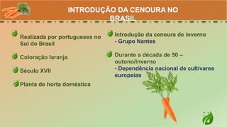 4
Realizada por portugueses no
Sul do Brasil
Coloração laranja
Século XVII
Planta de horta doméstica
INTRODUÇÃO DA CENOURA NO
BRASIL
Introdução da cenoura de inverno
- Grupo Nantes
Durante a década de 50 –
outono/inverno
- Dependência nacional de cultivares
europeias
 