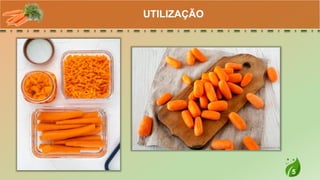 5
UTILIZAÇÃO
 