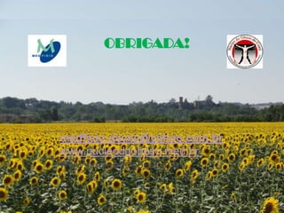 OBRIGADA!
medfisio.dayse@yahoo.com.br
www.nucleodoobeso.med.br
www.nucleodoobeso.me
 