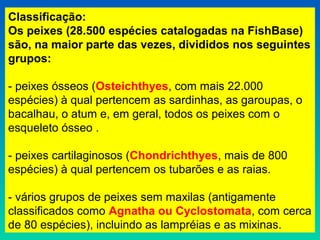 Classificação:
Os peixes (28.500 espécies catalogadas na FishBase)
são, na maior parte das vezes, divididos nos seguintes
grupos:
- peixes ósseos (Osteichthyes, com mais 22.000
espécies) à qual pertencem as sardinhas, as garoupas, o
bacalhau, o atum e, em geral, todos os peixes com o
esqueleto ósseo .
- peixes cartilaginosos (Chondrichthyes, mais de 800
espécies) à qual pertencem os tubarões e as raias.
- vários grupos de peixes sem maxilas (antigamente
classificados como Agnatha ou Cyclostomata, com cerca
de 80 espécies), incluindo as lampréias e as mixinas.
 