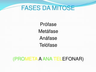 AULA Ciclo UNIVERSIDADE CEUMA CAMPUSCelular.pptx