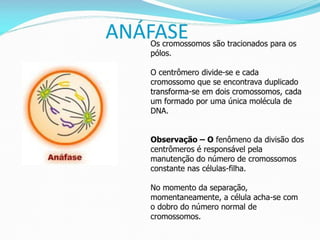 AULA Ciclo UNIVERSIDADE CEUMA CAMPUSCelular.pptx