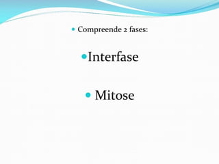 AULA Ciclo UNIVERSIDADE CEUMA CAMPUSCelular.pptx