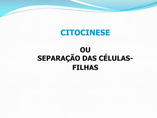 AULA Ciclo UNIVERSIDADE CEUMA CAMPUSCelular.pptx