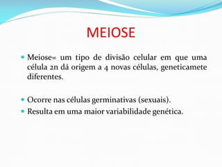 AULA Ciclo UNIVERSIDADE CEUMA CAMPUSCelular.pptx