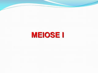 AULA Ciclo UNIVERSIDADE CEUMA CAMPUSCelular.pptx