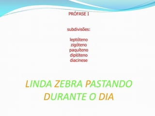 AULA Ciclo UNIVERSIDADE CEUMA CAMPUSCelular.pptx