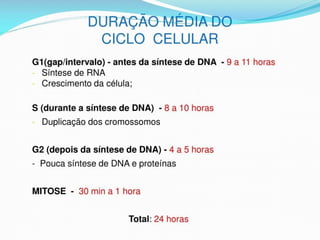 AULA Ciclo UNIVERSIDADE CEUMA CAMPUSCelular.pptx