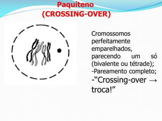 AULA Ciclo UNIVERSIDADE CEUMA CAMPUSCelular.pptx