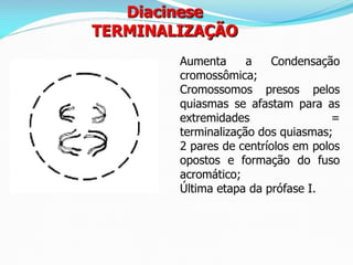 AULA Ciclo UNIVERSIDADE CEUMA CAMPUSCelular.pptx