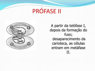 AULA Ciclo UNIVERSIDADE CEUMA CAMPUSCelular.pptx