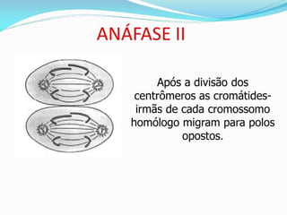 AULA Ciclo UNIVERSIDADE CEUMA CAMPUSCelular.pptx