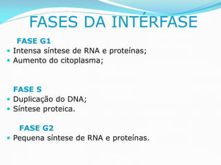 AULA Ciclo UNIVERSIDADE CEUMA CAMPUSCelular.pptx