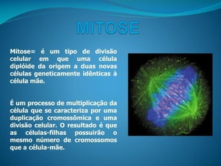 AULA Ciclo UNIVERSIDADE CEUMA CAMPUSCelular.pptx