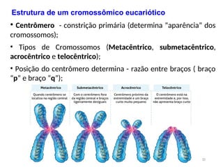 • Centrômero - constrição primária (determina “aparência” dos
cromossomos);
• Tipos de Cromossomos (Metacêntrico, submetacêntrico,
acrocêntrico e telocêntrico);
• Posição do centrômero determina - razão entre braços ( braço
“p” e braço “q”);
15
Estrutura de um cromossômico eucariótico
 