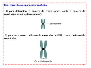 Duas regras básicas para evitar confusão:
1) para determinar o número de cromossomos, conte o número de
constrições primárias (centrômero);
2) para determinar o número de moléculas de DNA, conte o número de
cromátides.
17
centrômero
Cromátides-irmãs
 