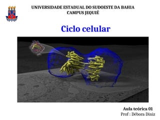 UNIVERSIDADE ESTADUAL DO SUDOESTE DA BAHIA
CAMPUS JEQUIÉ
Aula teórica 01
Prof : Débora Diniz
Ciclo celular
 