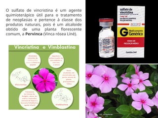 33
O sulfato de vincristina é um agente
quimioterápico útil para o tratamento
de neoplasias e pertence à classe dos
produtos naturais, pois é um alcaloide
obtido de uma planta florescente
comum, a Pervinca (Vinca rósea Líné).
 