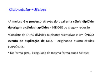 Ciclo celular – Meiose
•A meiose é o processo através do qual uma célula diplóide
dá origem a células haplóides – MEIOSE do grego = redução
•Consiste de DUAS divisões nucleares sucessivas e um ÚNICO
evento de duplicação de DNA – originando quatro células
HAPLÓIDES;
• De forma geral, é regulada da mesma forma que a Mitose;
50
 