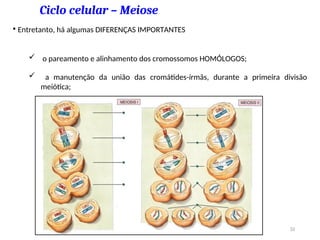 Ciclo celular – Meiose
• Entretanto, há algumas DIFERENÇAS IMPORTANTES
 o pareamento e alinhamento dos cromossomos HOMÓLOGOS;
 a manutenção da união das cromátides-írmãs, durante a primeira divisão
meiótica;
51
 