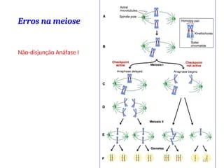 Erros na meiose
Não-disjunção Anáfase I
67
 