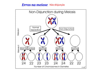 Erros na meiose Não-disjunção
68
 