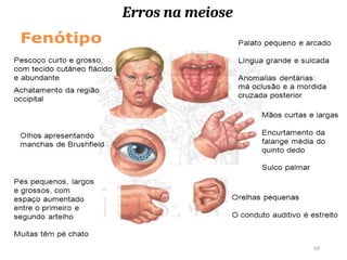 Erros na meiose
69
 