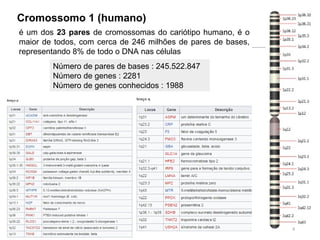 é um dos 23 pares de cromossomas do cariótipo humano, é o
maior de todos, com cerca de 246 milhões de pares de bases,
representando 8% de todo o DNA nas células
8
Cromossomo 1 (humano)
Número de pares de bases : 245.522.847
Número de genes : 2281
Número de genes conhecidos : 1988
 