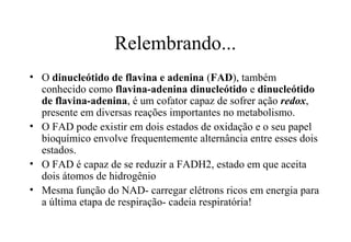 Relembrando... 
• O dinucleótido de flavina e adenina (FAD), também 
conhecido como flavina-adenina dinucleótido e dinucleótido 
de flavina-adenina, é um cofator capaz de sofrer ação redox, 
presente em diversas reações importantes no metabolismo. 
• O FAD pode existir em dois estados de oxidação e o seu papel 
bioquímico envolve frequentemente alternância entre esses dois 
estados. 
• O FAD é capaz de se reduzir a FADH2, estado em que aceita 
dois átomos de hidrogênio 
• Mesma função do NAD- carregar elétrons ricos em energia para 
a última etapa de respiração- cadeia respiratória! 
 