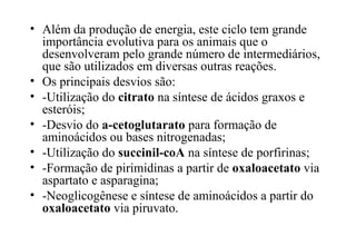 • Além da produção de energia, este ciclo tem grande 
importância evolutiva para os animais que o 
desenvolveram pelo grande número de intermediários, 
que são utilizados em diversas outras reações. 
• Os principais desvios são: 
• -Utilização do citrato na síntese de ácidos graxos e 
esteróis; 
• -Desvio do a-cetoglutarato para formação de 
aminoácidos ou bases nitrogenadas; 
• -Utilização do succinil-coA na síntese de porfirinas; 
• -Formação de pirimidinas a partir de oxaloacetato via 
aspartato e asparagina; 
• -Neoglicogênese e síntese de aminoácidos a partir do 
oxaloacetato via piruvato. 
 
