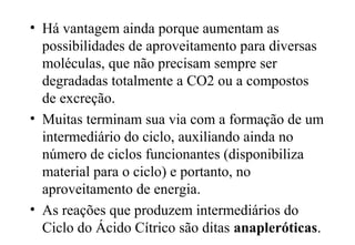 • Há vantagem ainda porque aumentam as 
possibilidades de aproveitamento para diversas 
moléculas, que não precisam sempre ser 
degradadas totalmente a CO2 ou a compostos 
de excreção. 
• Muitas terminam sua via com a formação de um 
intermediário do ciclo, auxiliando ainda no 
número de ciclos funcionantes (disponibiliza 
material para o ciclo) e portanto, no 
aproveitamento de energia. 
• As reações que produzem intermediários do 
Ciclo do Ácido Cítrico são ditas anapleróticas. 
 