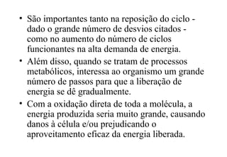 • São importantes tanto na reposição do ciclo - 
dado o grande número de desvios citados - 
como no aumento do número de ciclos 
funcionantes na alta demanda de energia. 
• Além disso, quando se tratam de processos 
metabólicos, interessa ao organismo um grande 
número de passos para que a liberação de 
energia se dê gradualmente. 
• Com a oxidação direta de toda a molécula, a 
energia produzida seria muito grande, causando 
danos à célula e/ou prejudicando o 
aproveitamento eficaz da energia liberada. 
 