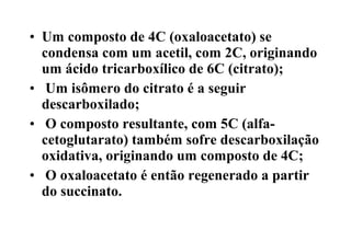 • Um composto de 4C (oxaloacetato) se 
condensa com um acetil, com 2C, originando 
um ácido tricarboxílico de 6C (citrato); 
• Um isômero do citrato é a seguir 
descarboxilado; 
• O composto resultante, com 5C (alfa-cetoglutarato) 
também sofre descarboxilação 
oxidativa, originando um composto de 4C; 
• O oxaloacetato é então regenerado a partir 
do succinato. 
 