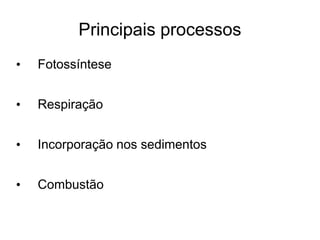 Principais processos
• Fotossíntese
• Respiração
• Incorporação nos sedimentos
• Combustão
 