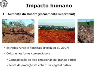 1 - Aumento do Runoff (escoamento superficial)
Impacto humano
✓ Estradas rurais e florestais (Ferraz et al. 2007)
✓ Culturas agrícolas convencionais
▪ Compactação do solo (máquinas de grande porte)
▪ Perda da proteção da cobertura vegetal nativa
 