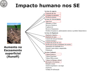 Impacto humano nos SE
Aumento no
Escoamento
superficial
(Runoff)
 