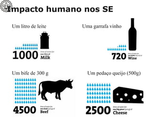 Impacto humano nos SE
Um bife de 300 g Um pedaço queijo (500g)
Um litro de leite Uma garrafa vinho
 