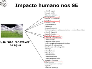 Uso “não-renovável”
da água
Impacto humano nos SE
 