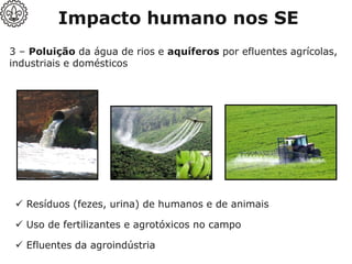 3 – Poluição da água de rios e aquíferos por efluentes agrícolas,
industriais e domésticos
Impacto humano nos SE
✓ Resíduos (fezes, urina) de humanos e de animais
✓ Uso de fertilizantes e agrotóxicos no campo
✓ Efluentes da agroindústria
 