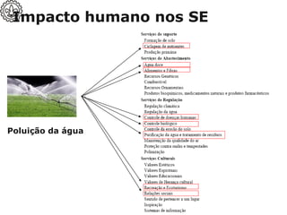 Poluição da água
Impacto humano nos SE
 