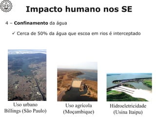 4 – Confinamento da água
✓ Cerca de 50% da água que escoa em rios é interceptado
✓ Represas e barragens: agricultura, hidrelétricas, cidades
Uso urbano
Billings (São Paulo)
Uso agrícola
(Moçambique)
Hidroeletricidade
(Usina Itaipu)
Impacto humano nos SE
 