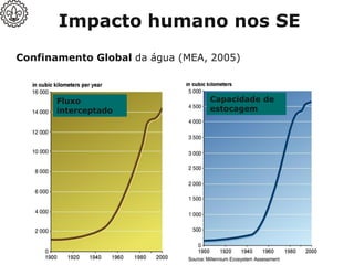 Capacidade de
estocagem
Fluxo
interceptado
Confinamento Global da água (MEA, 2005)
Impacto humano nos SE
 