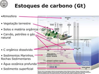 Estoques de carbono (Gt)
• Sedimentos Marinhos,
Rochas Sedimentares
• Solos e matéria orgânica
• Água oceânica profunda
• Sedimento superficial
• Carvão, petróleo e gás
natural
•Atmosfera
• C orgânico dissolvido
• Vegetação terrestre
 