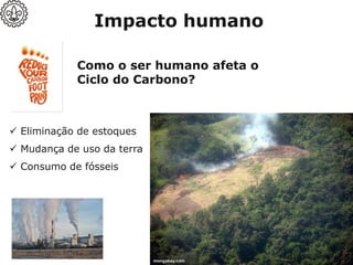 Como o ser humano afeta o
Ciclo do Carbono?
Impacto humano
✓ Mudança de uso da terra
✓ Eliminação de estoques
✓ Consumo de fósseis
 